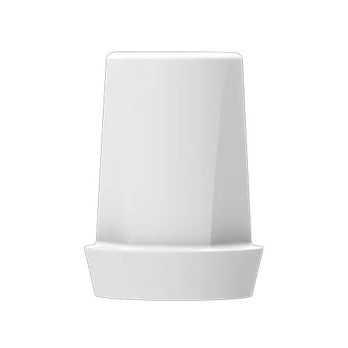P6 Abutment - RN Abutment(incl. Screw) - Straight, 2mm