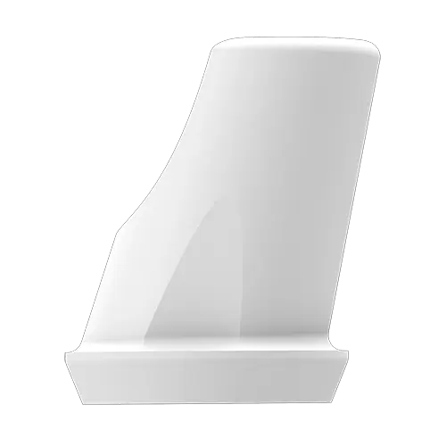 P6 Abutment RN Abutment(incl. Screw) - 15' Angled, 1mm