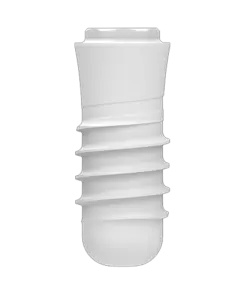 P6 Implants - 4.8 x 10 mm RN (incl. Healing Cap)