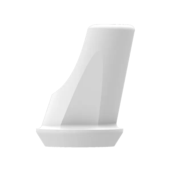 P6 Abutment - SN Abutment(incl. Screw) - 15' Angled, 1mm