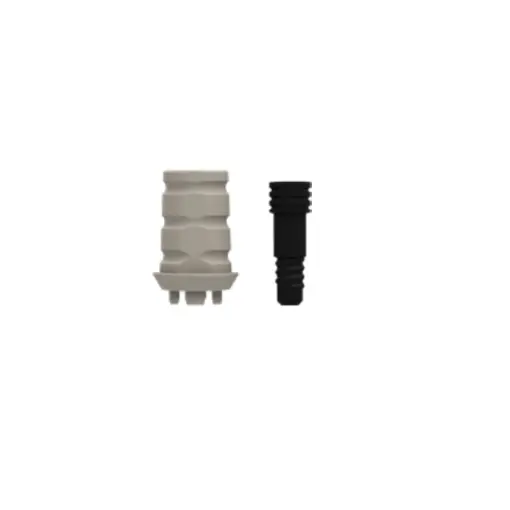 ZERAMEX XT Provisonal RB with Screw