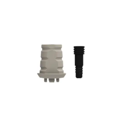 ZERAMEX XT Provisonal WB with Screw