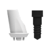ZERAMEX®XT Abutment RB Angular 15°, 1mm (incl. Screw)