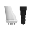 ZERAMEX®XT Abutment RB Angular 15°, 1mm (incl. Screw)
