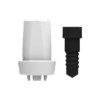 ZERAMEX®XT Abutment WB Straight, 2mm (incl. Screw)