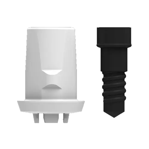 ZERAMEX®XT ZERABASE WB, for crown (incl. Screw)