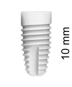 ZERAMEX®XT Implant Ø 5.5 x 10 mm WB (incl. Healing Cap)