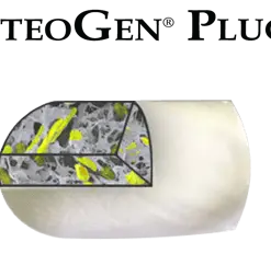 OsteoGen Plug - Bone Grafting Plug