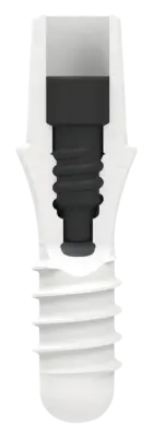 Zeramex P6 Ceramic Implant