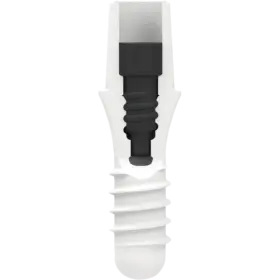 Zeramex P6 Ceramic Implant