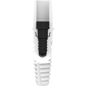 Zeramex XT Ceramic Implant