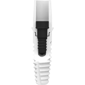 Zeramex XT Ceramic Implant