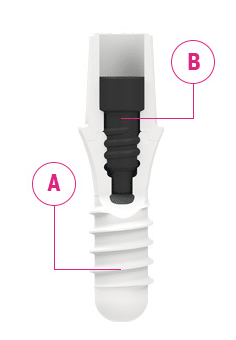 Zeramex strength you can rely on