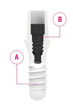 Zeramex strength you can rely on