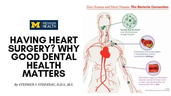 For the blogposts (31)