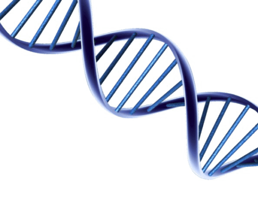 Bio-PRF | Horizontal PRF Machine| Purchase Online