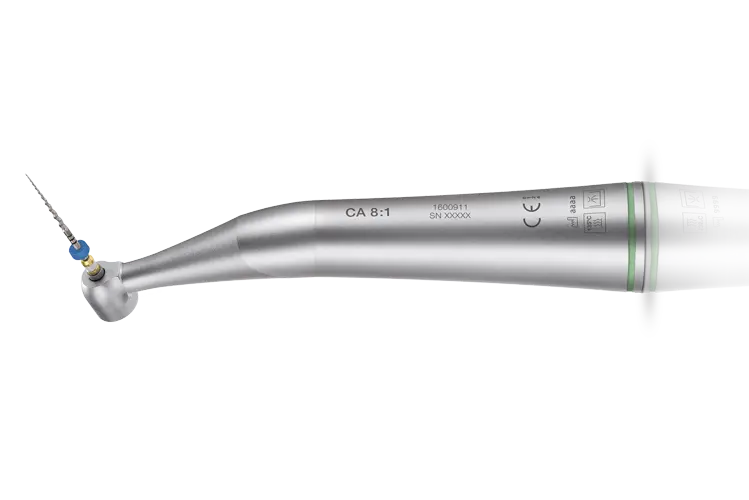 Anthogyr