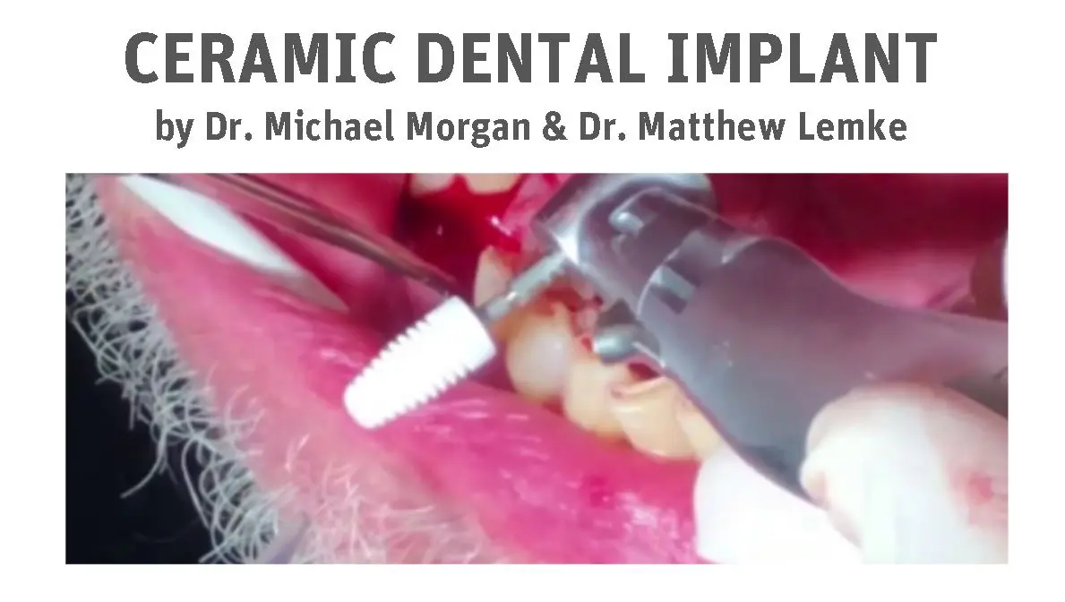 Dr. Morgan and Dr. Lemke Banner