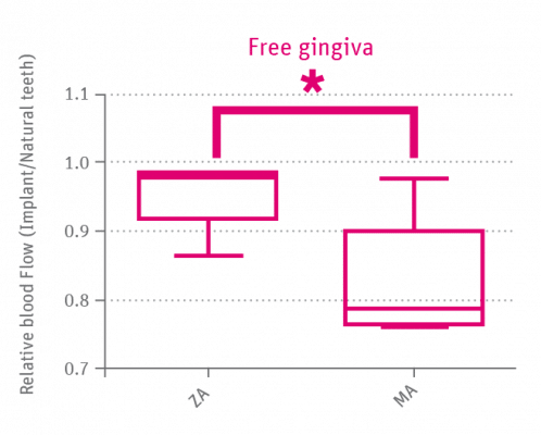 OPTIMUM BLOOD CIRCULATION THROUGH THE GUMS