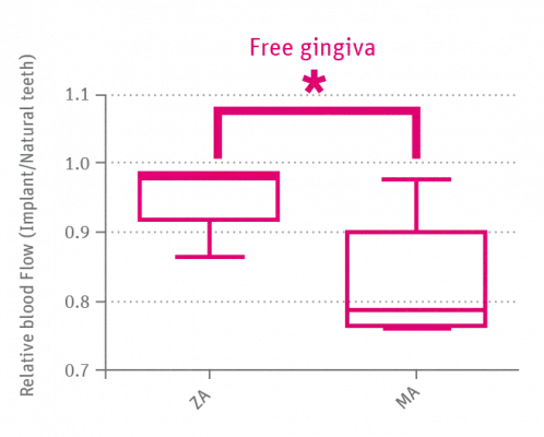 OPTIMUM BLOOD CIRCULATION THROUGH THE GUMS