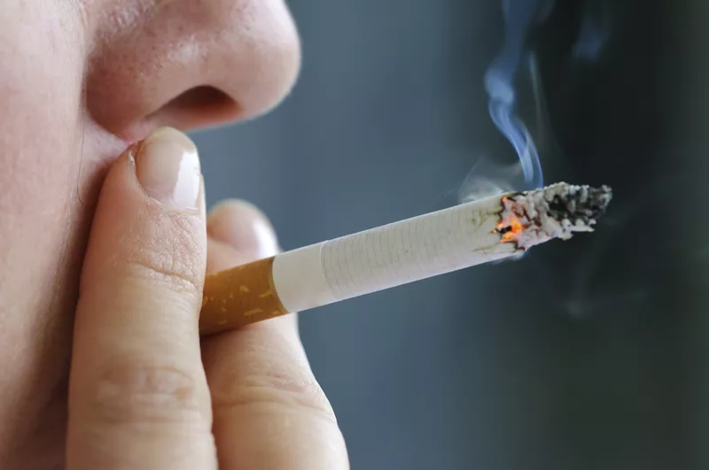 EVIL SMOKING Cigarettes/Tobacco Dual Use Filter Hookah Transparent