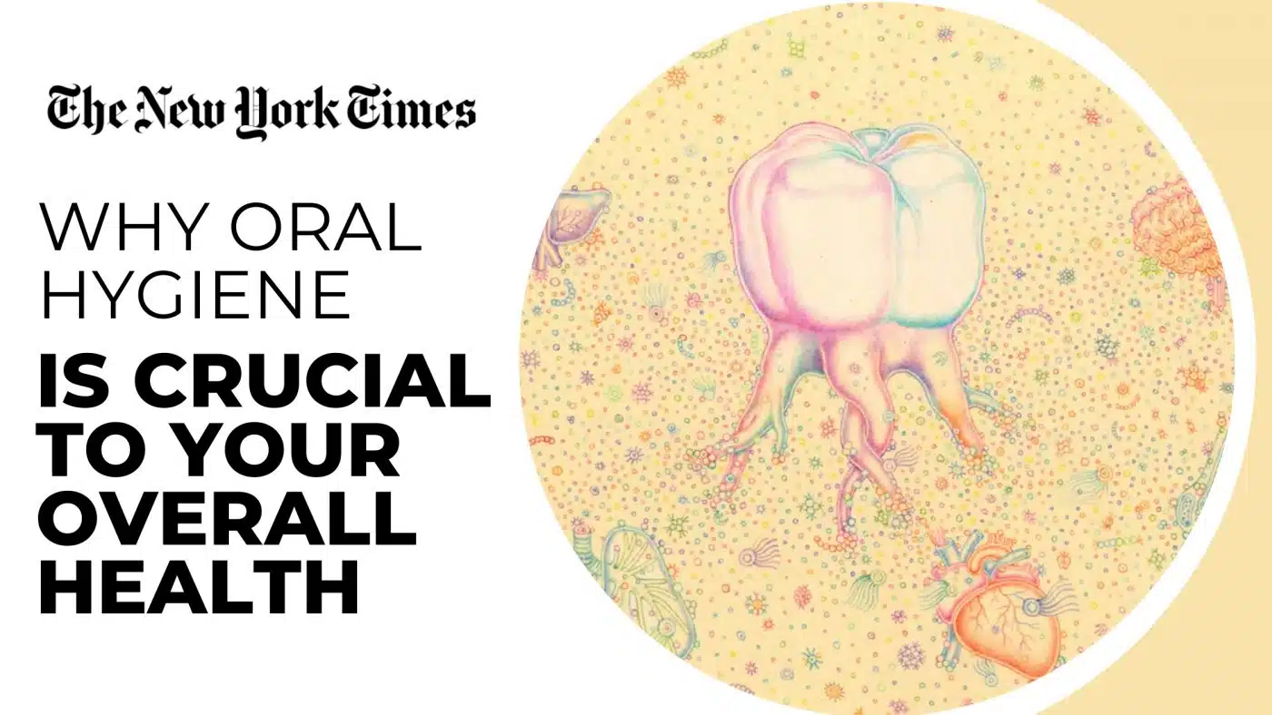 Emerginnova_Ceramic Dental Implants_Why Oral Hygiene Is Crucial to Your Overall Health_wholebodyhealth_2023